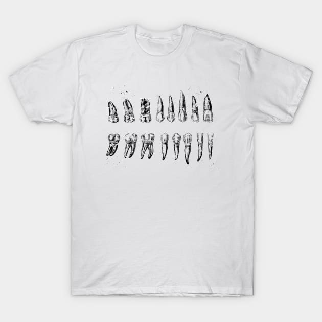 Teeth Diagram T-Shirt by erzebeth